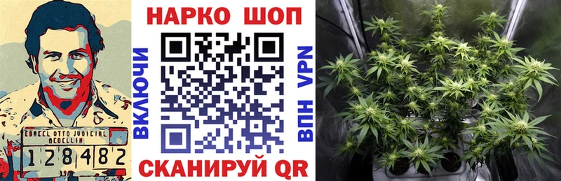 Цена Навашино mega онион  МАРИХУАНА  Галлюциногенные грибы  ГАШИШ  Мефедрон  APVP 
