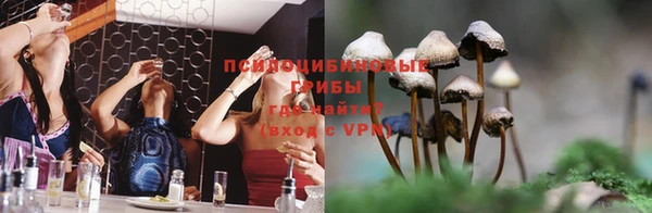 мдпв Верхний Тагил