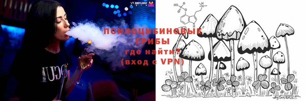 мдпв Верхний Тагил