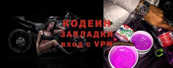 мдпв Верхний Тагил