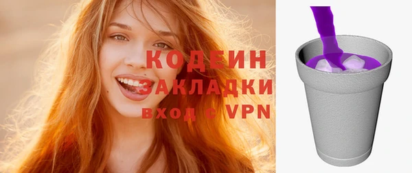 мдпв Верхний Тагил