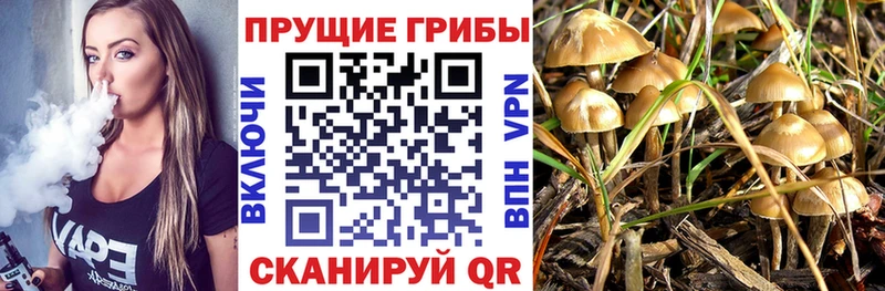Псилоцибиновые грибы Magic Shrooms  ссылка на мегу ССЫЛКА  Навашино  где купить наркотик 